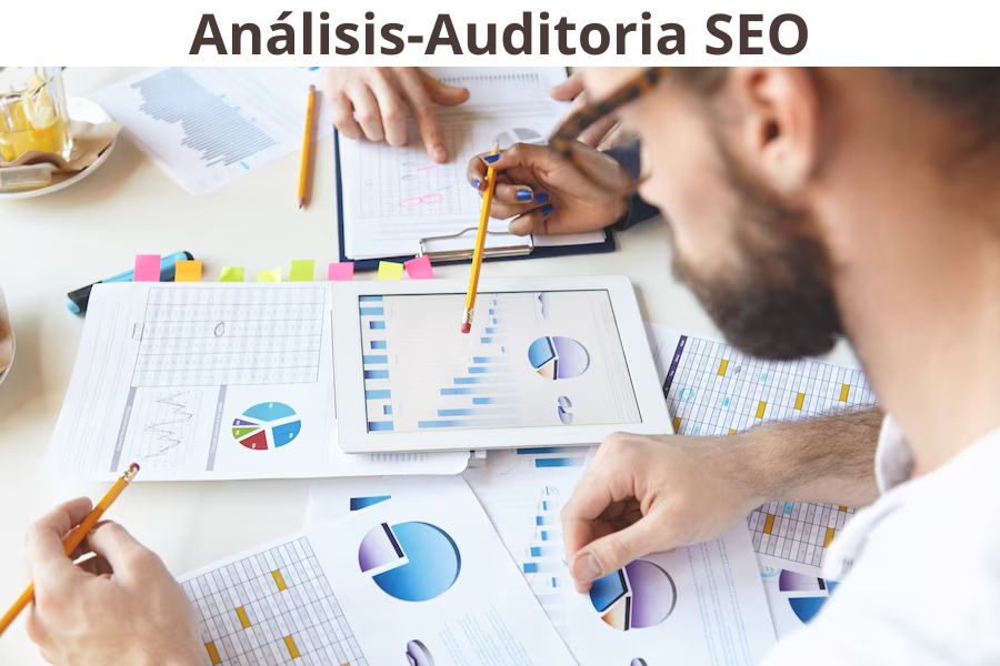 Auditoria-Analisis SEO