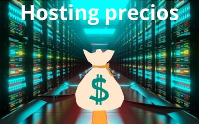 Hosting precios